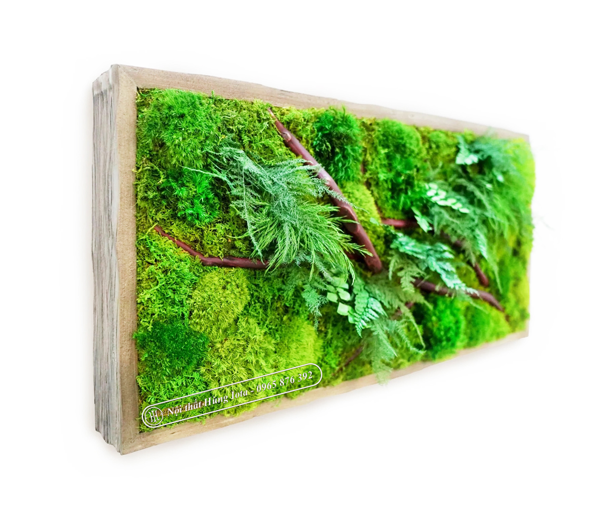 Tranh rêu hình chữ nhật cây gỗ TR002 nhiều rêu địa y và thực vật